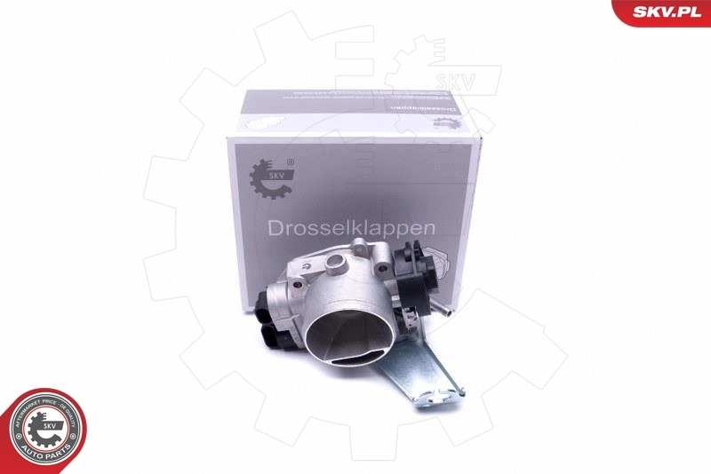 Throttle Body
